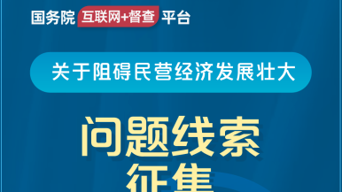 超级大鸡巴操逼网站国务院“互联网+督查”平台公开征集阻碍民营经济发展壮大问题线索